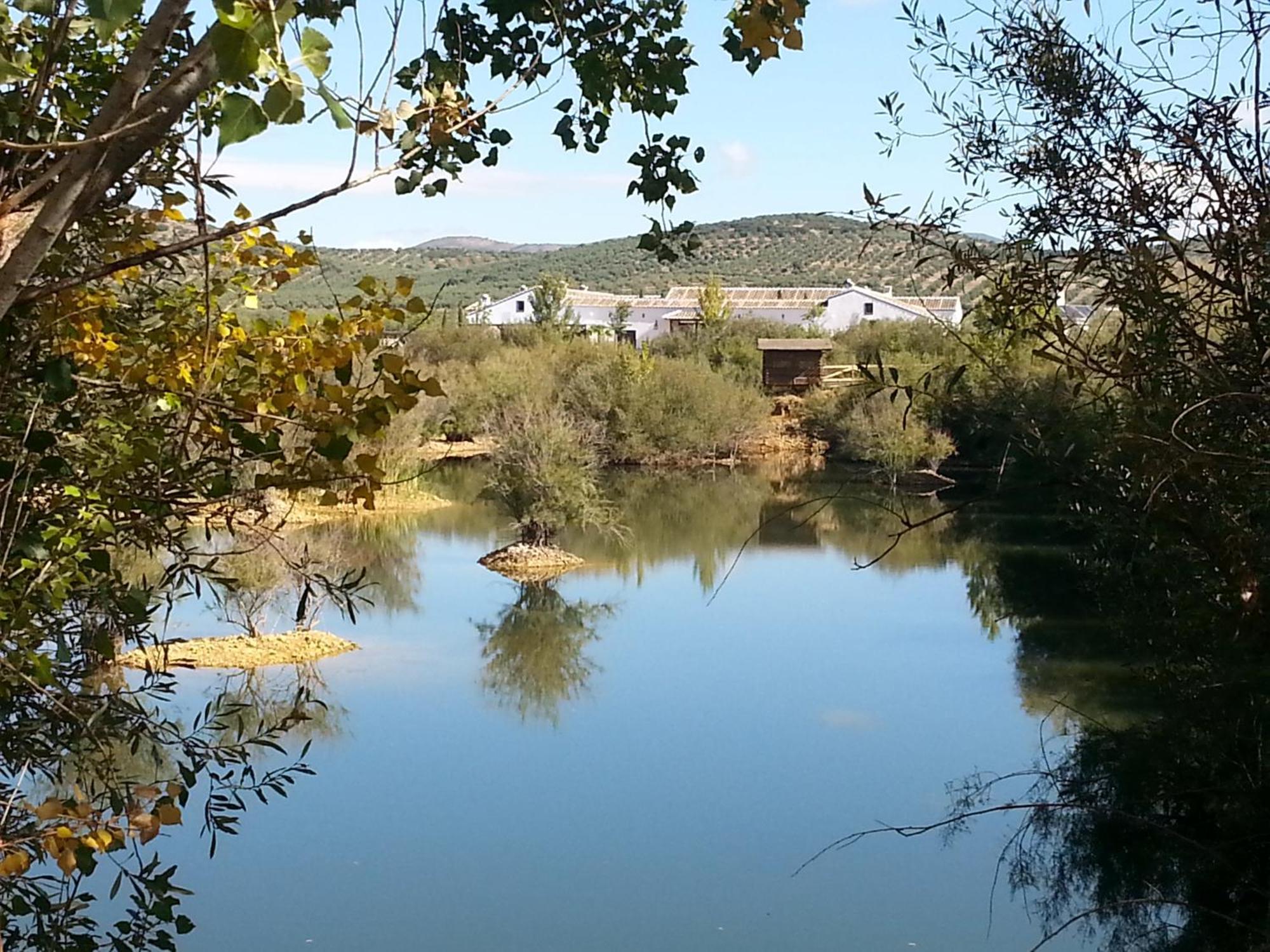 Complejo Turístico Rural Fuente Taray Apartamento Malagón Exterior foto